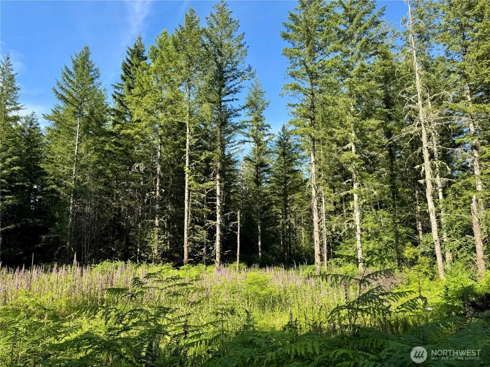 35186 294th Avenue SE Enumclaw, WA 98022