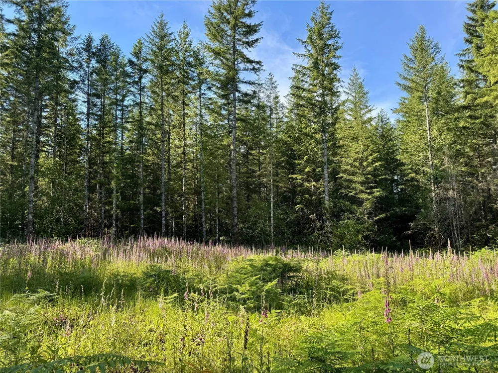 35186 294th Avenue SE Enumclaw, WA 98022