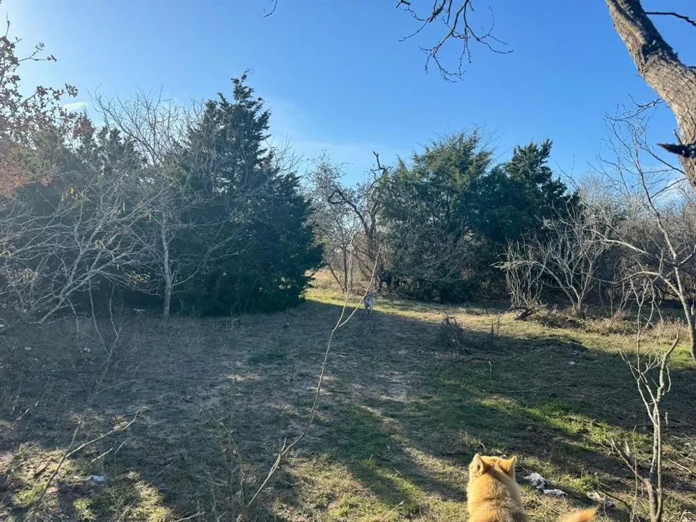 8405 Taylorsville Road Dale, TX 78616