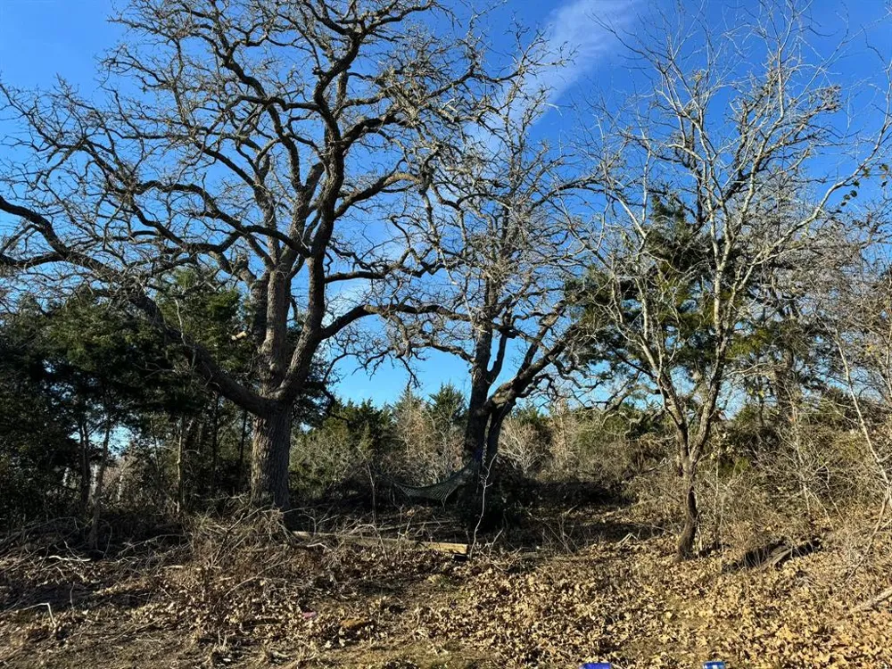 8405 Taylorsville Road Dale, TX 78616