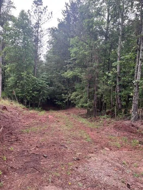 0 Dobbs Mountain Road