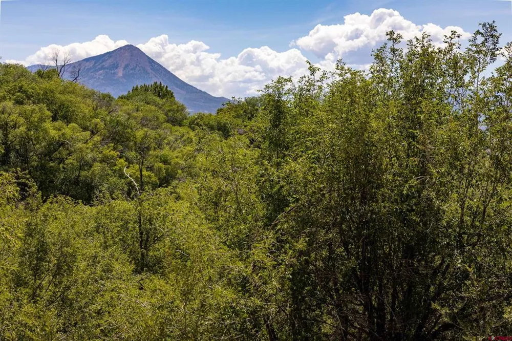 480 Hawthorn Drive Hotchkiss, CO 81419