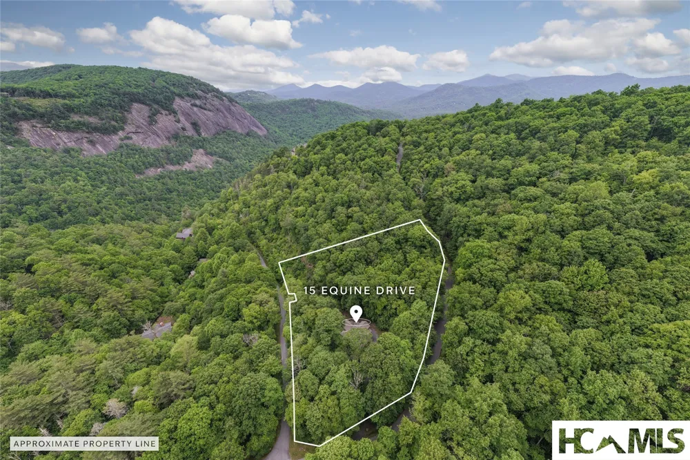 15 Equine Drive Sapphire, NC 28774