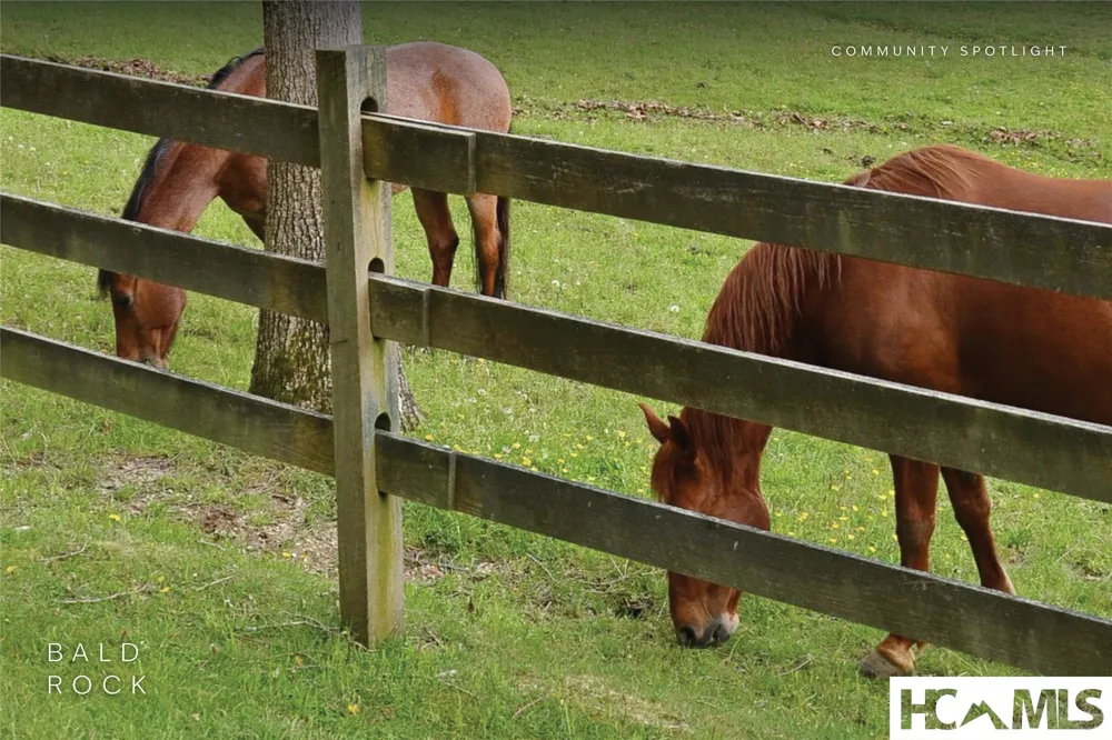 15 Equine Drive Sapphire, NC 28774