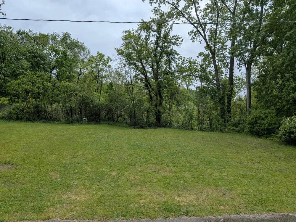 503 W Douglas Street Bangor, MI 49013