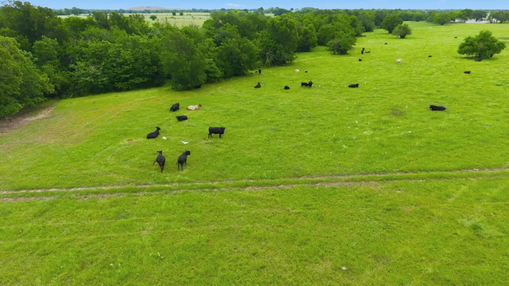 7635 County Road 4209 Campbell, TX 75422