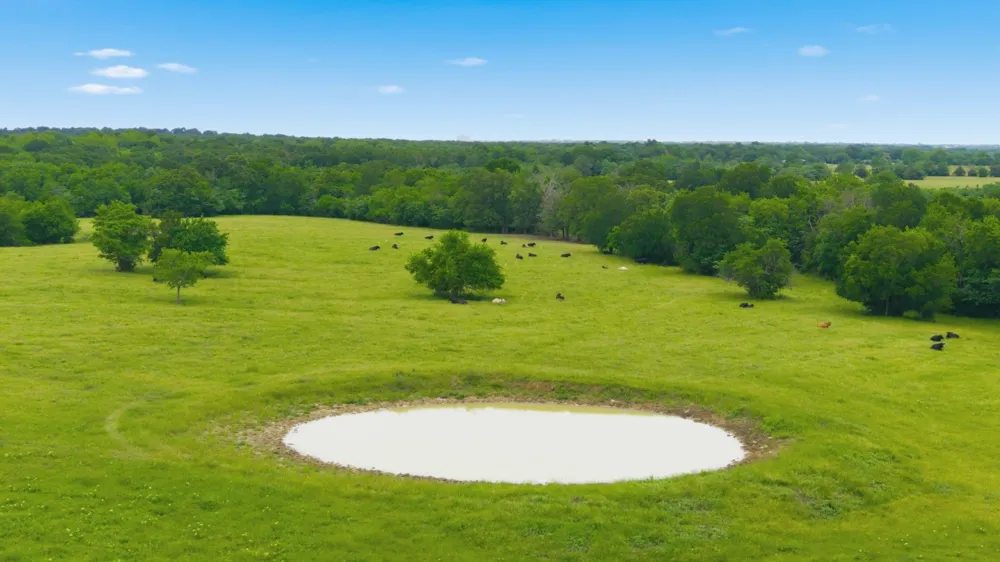 7635 County Road 4209 Campbell, TX 75422