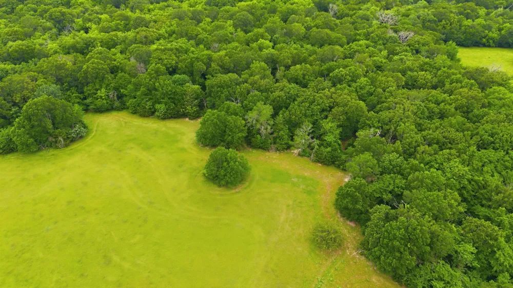 7635 County Road 4209 Campbell, TX 75422