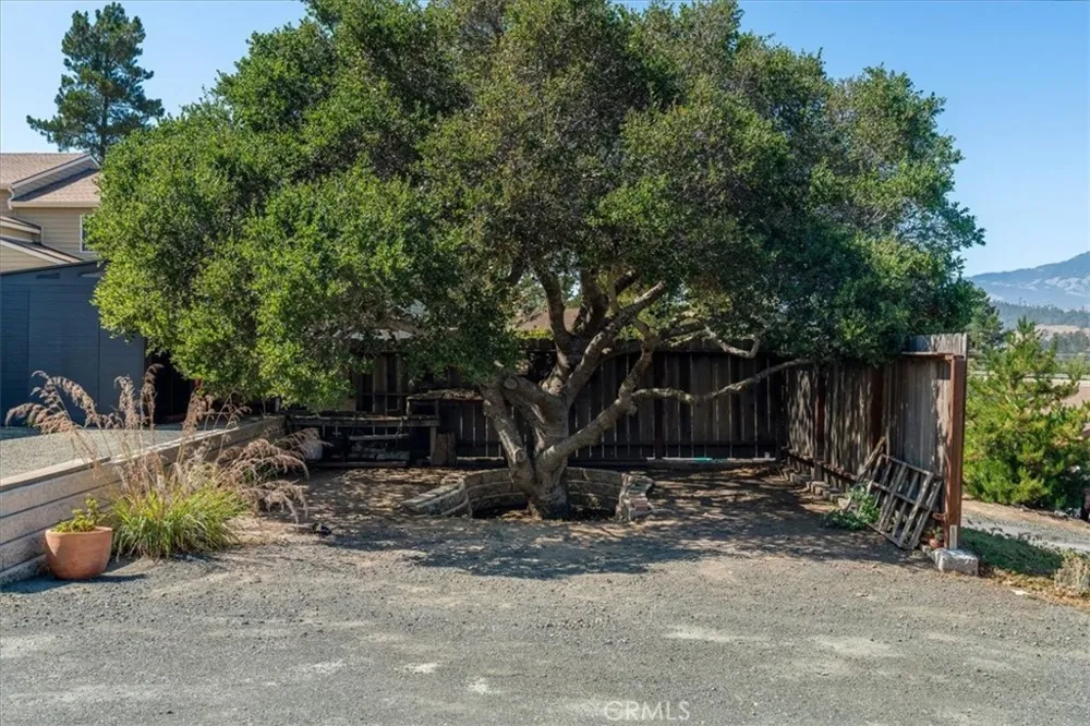 2195 Green Street Cambria, CA 93428
