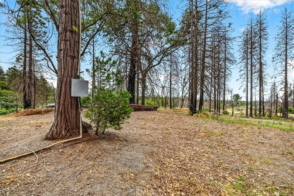 9627 Cohasset Chico, CA 95973