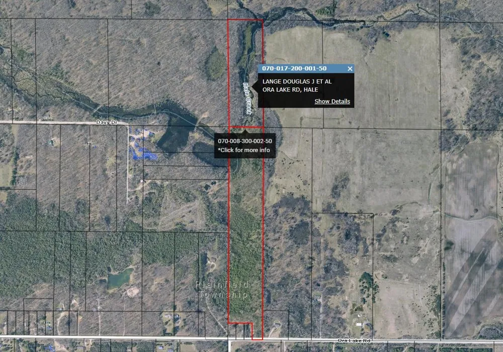 Ora Lake Road Plainfield Township, MI 48739