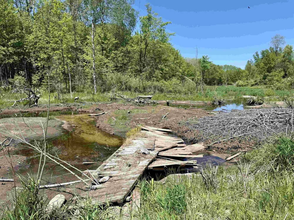 Ora Lake Road Plainfield Township, MI 48739