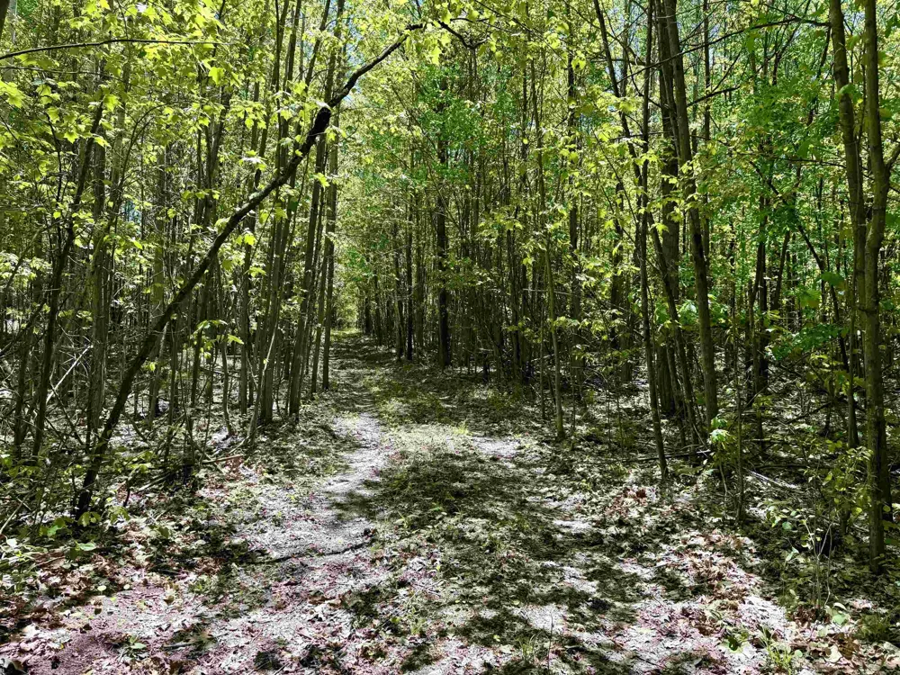 Ora Lake Road Plainfield Township, MI 48739