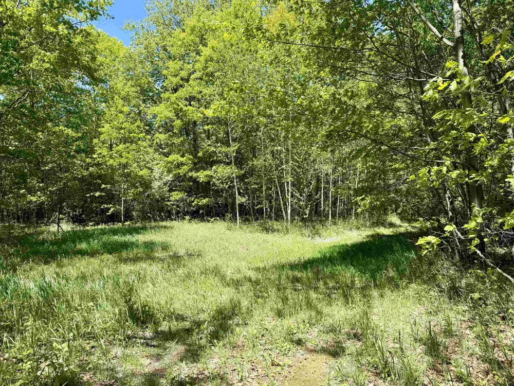 Ora Lake Road Plainfield Township, MI 48739