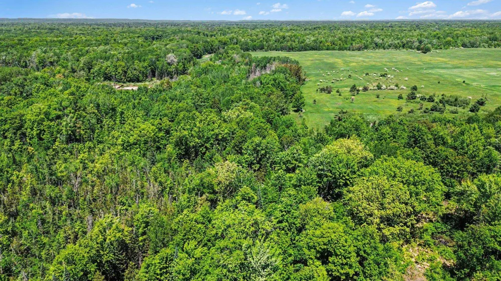 Ora Lake Road Plainfield Township, MI 48739