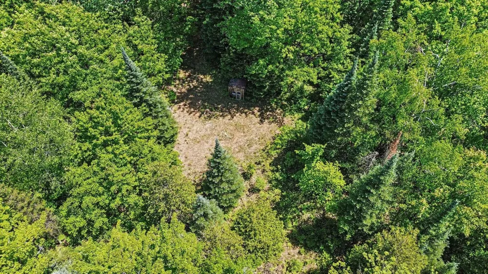 Ora Lake Road Plainfield Township, MI 48739