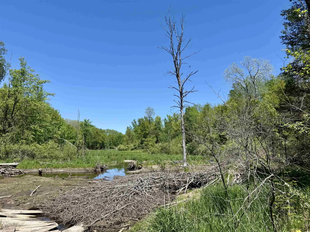 Ora Lake Road Plainfield Township, MI 48739