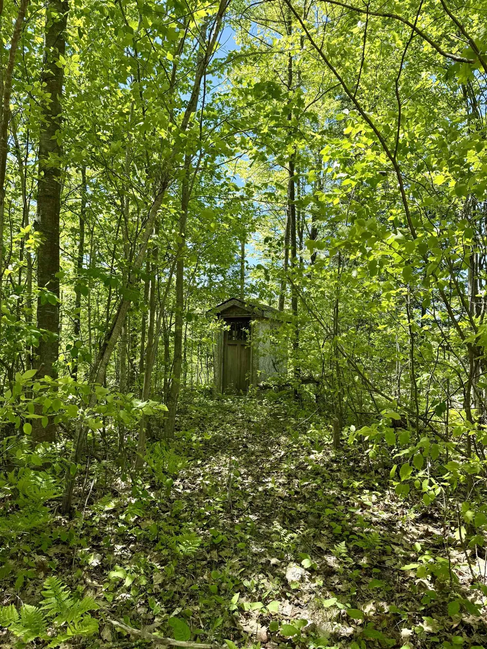 Ora Lake Road Plainfield Township, MI 48739