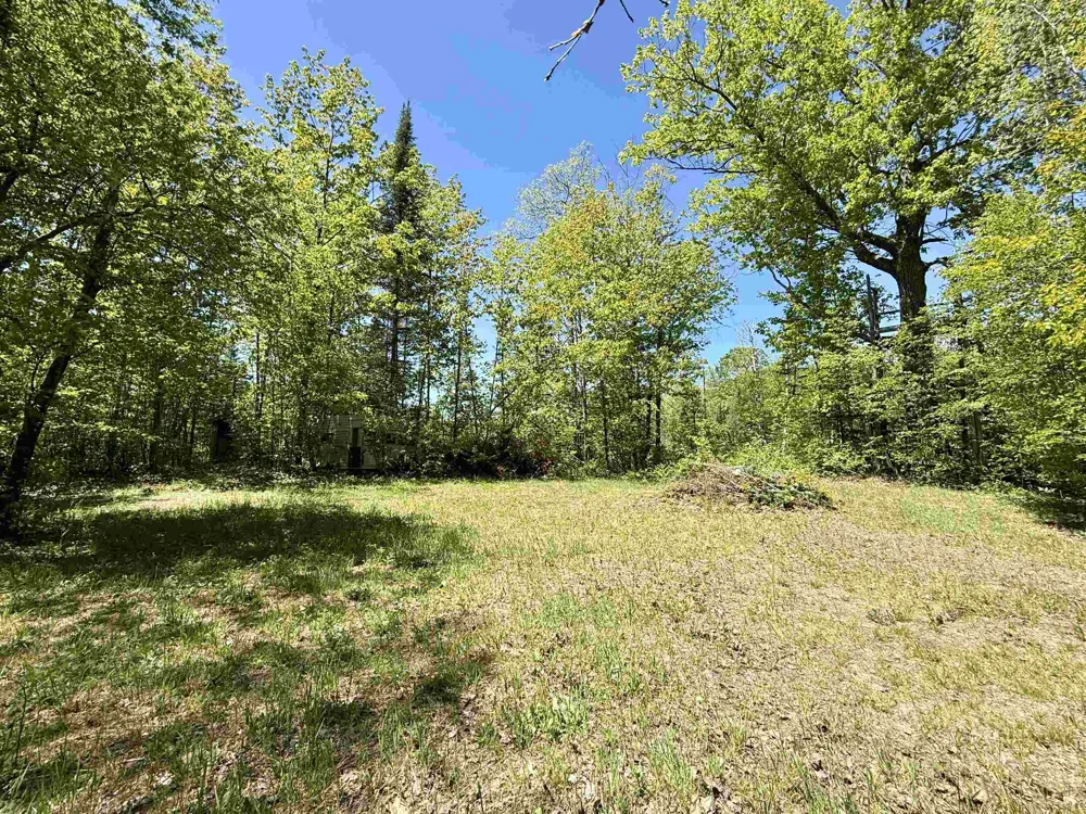 Ora Lake Road Plainfield Township, MI 48739