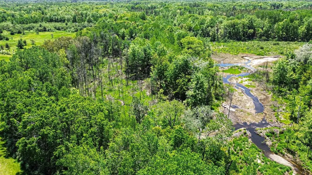 Ora Lake Road Plainfield Township, MI 48739