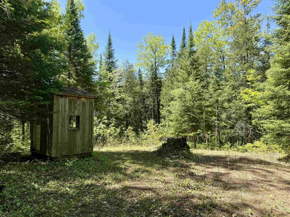 Ora Lake Road Plainfield Township, MI 48739