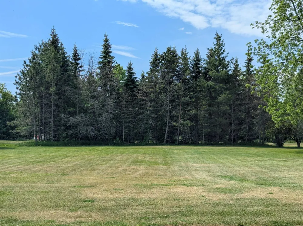 Smith Street Au Gres Township, MI 48703