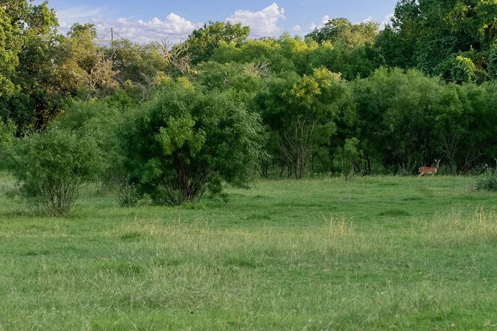 646 Victor Eckhardt Road Fredericksburg, TX 78624