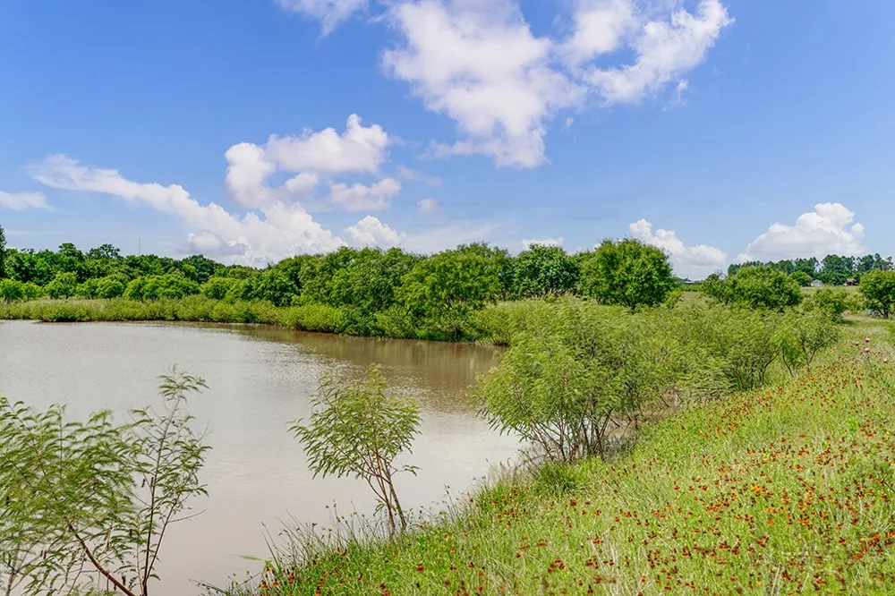 646 Victor Eckhardt Road Fredericksburg, TX 78624