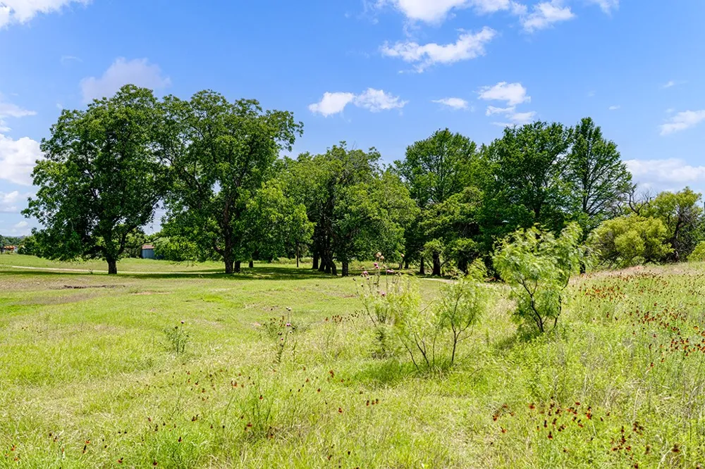 646 Victor Eckhardt Road Fredericksburg, TX 78624