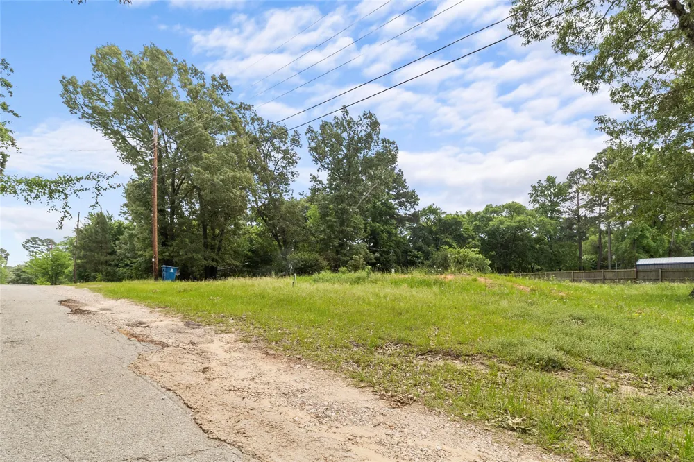 Shady Drive Chandler, TX 75758