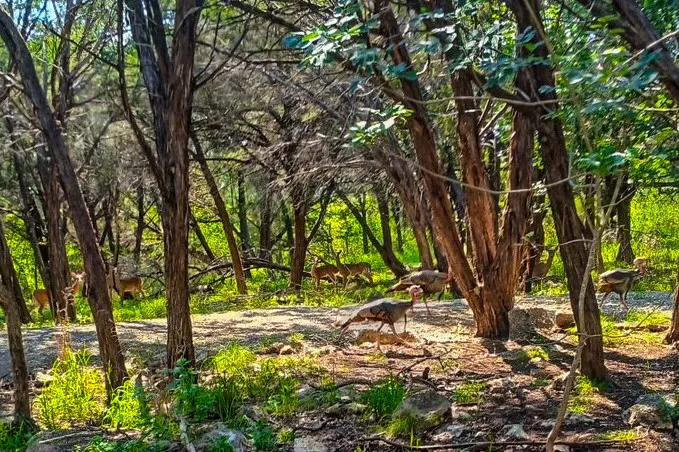 16240 Cowan Road Moody, TX 76557