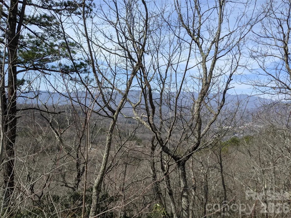 124 Settings Boulevard Black Mountain, NC 28711