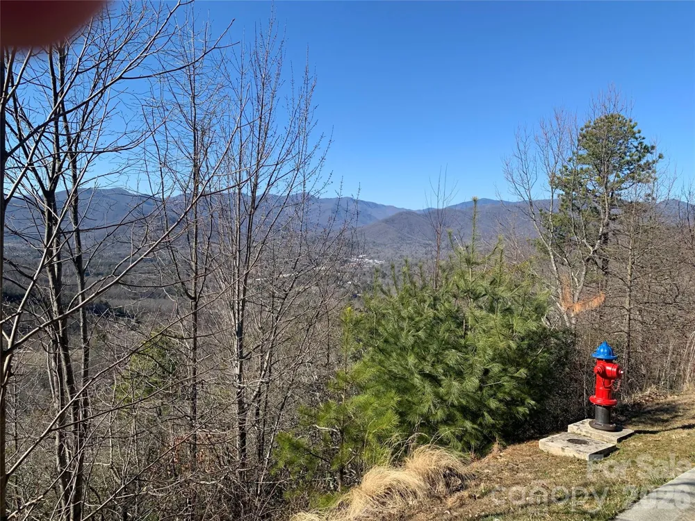 124 Settings Boulevard Black Mountain, NC 28711