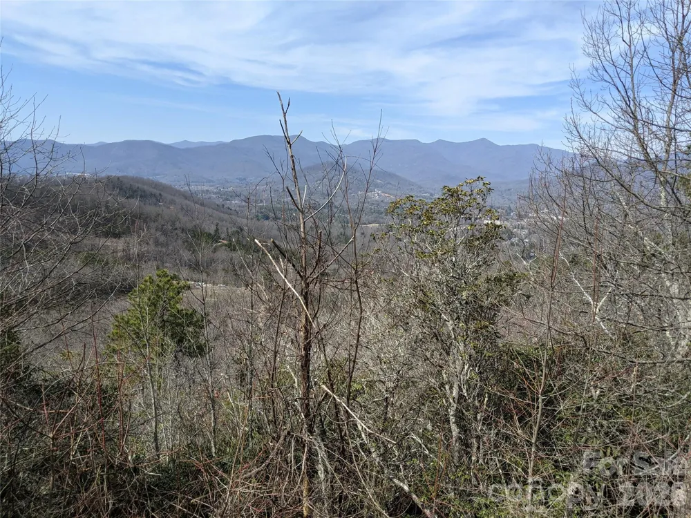 124 Settings Boulevard Black Mountain, NC 28711