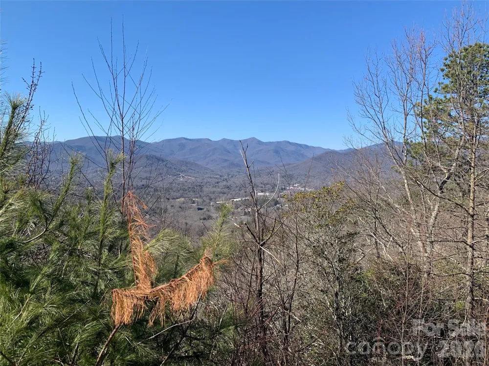 124 Settings Boulevard Black Mountain, NC 28711