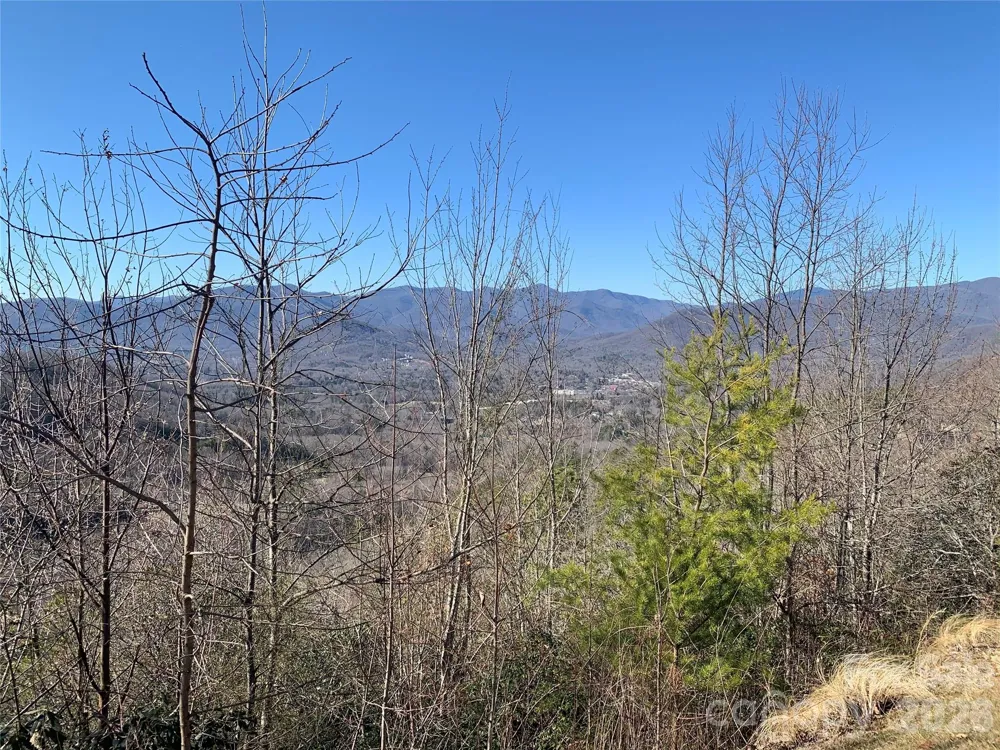 124 Settings Boulevard Black Mountain, NC 28711