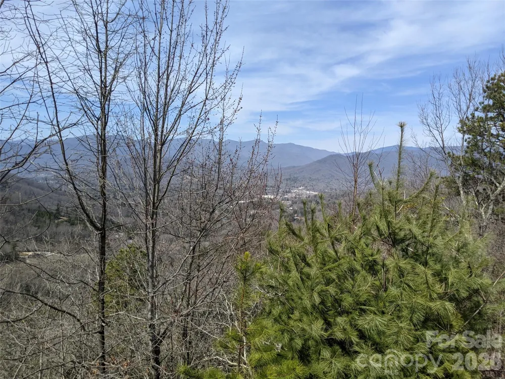 124 Settings Boulevard Black Mountain, NC 28711
