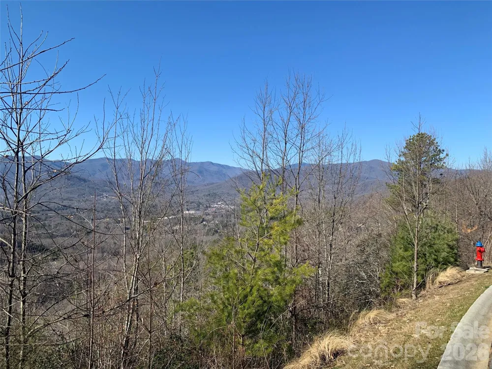 124 Settings Boulevard Black Mountain, NC 28711