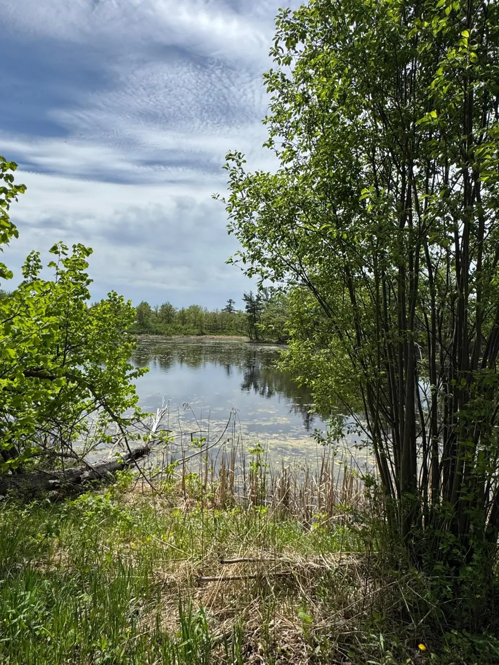 1469 Woodland Loop NW Baudette, MN 56623