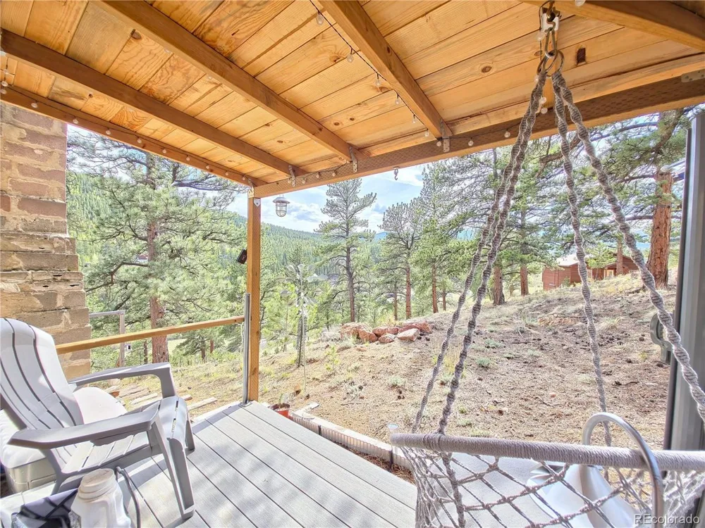 226 Hall Road Bailey, CO 80421