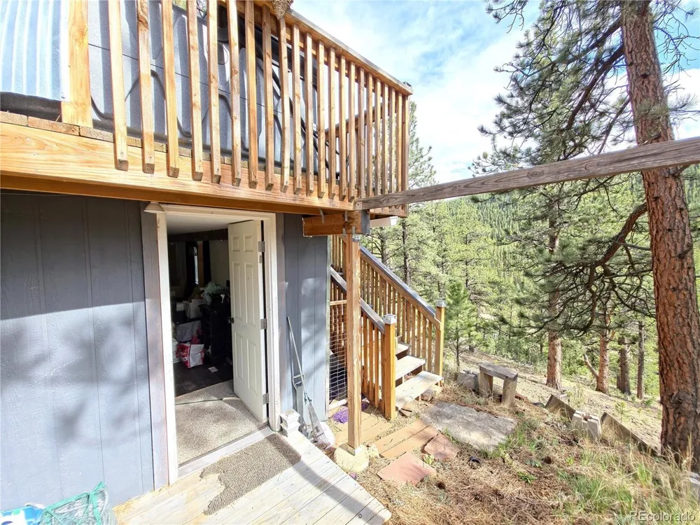 226 Hall Road Bailey, CO 80421