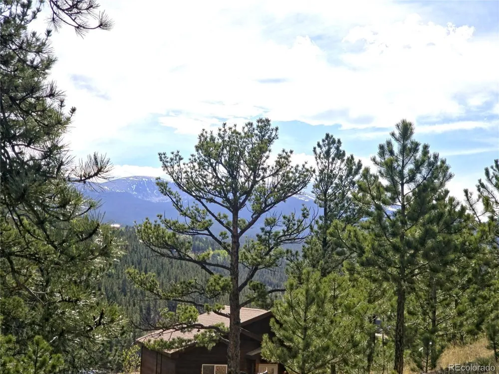 226 Hall Road Bailey, CO 80421