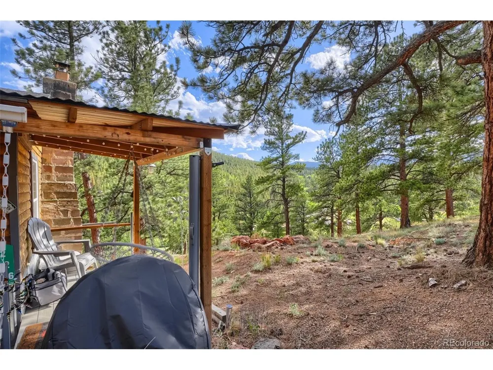 226 Hall Road Bailey, CO 80421
