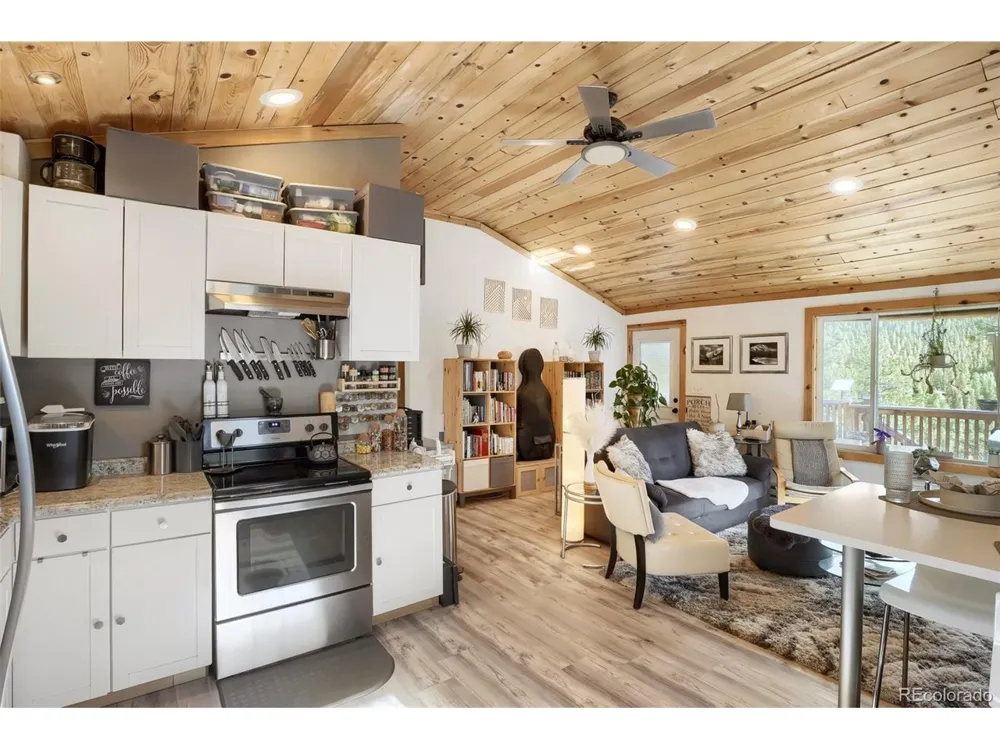 226 Hall Road Bailey, CO 80421