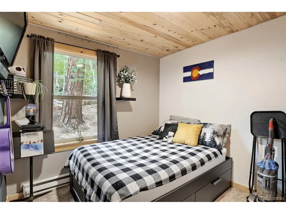 226 Hall Road Bailey, CO 80421