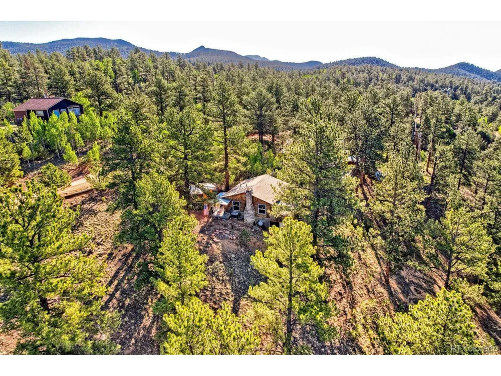 226 Hall Road Bailey, CO 80421