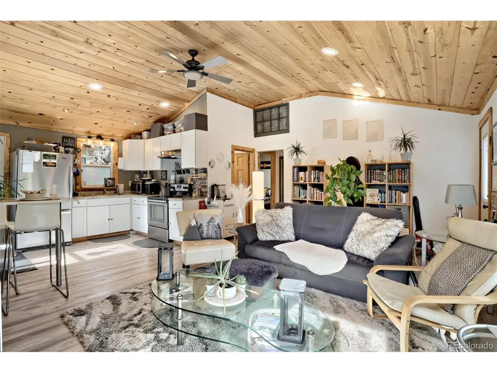 226 Hall Road Bailey, CO 80421