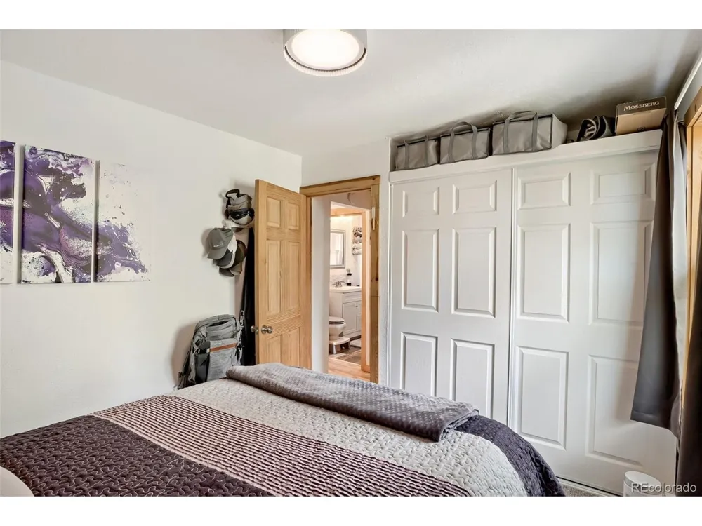 226 Hall Road Bailey, CO 80421