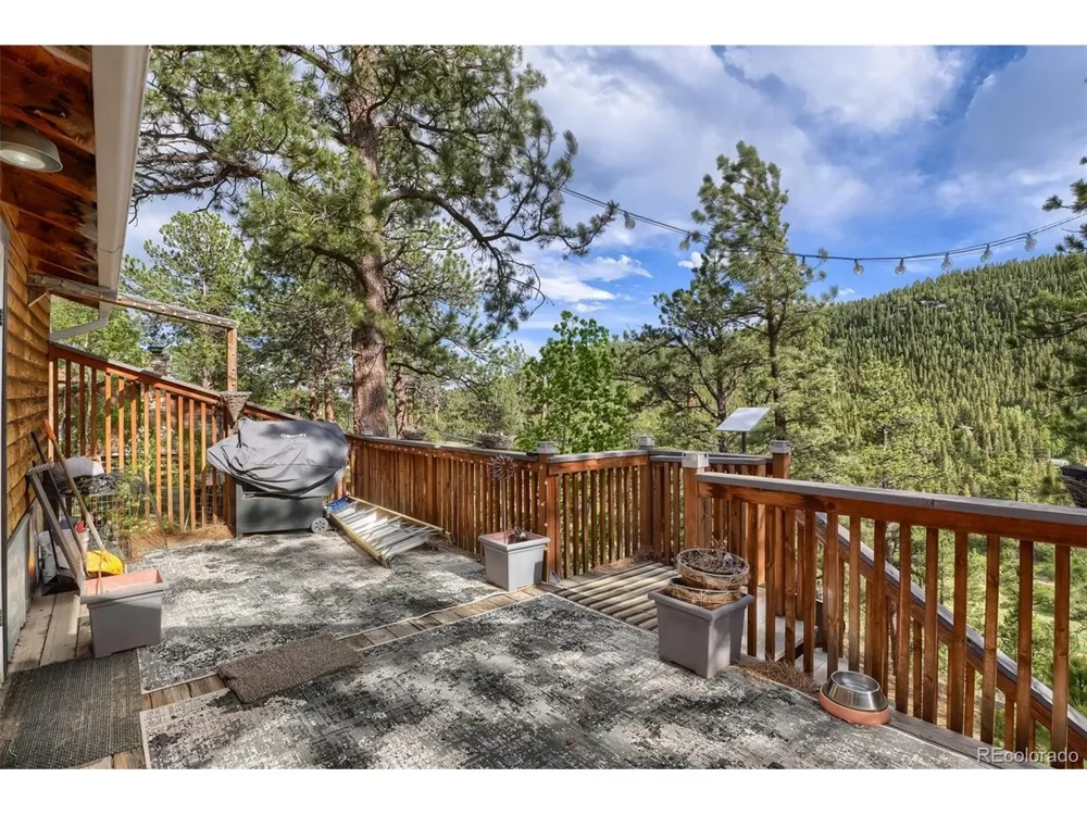 226 Hall Road Bailey, CO 80421