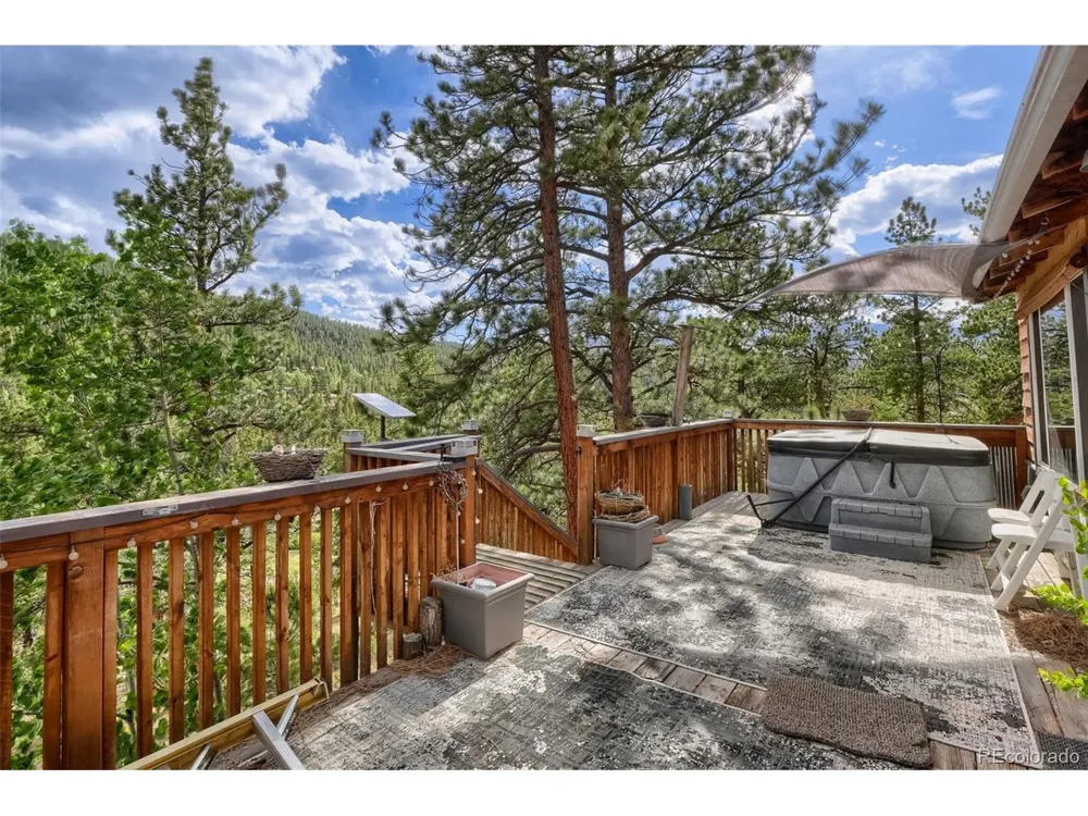 226 Hall Road Bailey, CO 80421